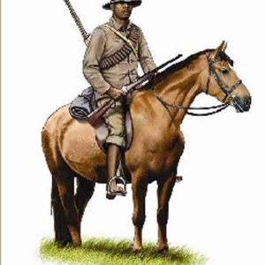 1/72 Zulu Wars Natal Native Horse HaT Industrie