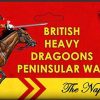 28mm British Peninsular Heavy Dragoons Victrix