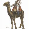 1/72 Egyptian Camel Corps HaT Industrie