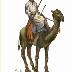 1/72 Taaishi Camelry Hat HaT Industrie