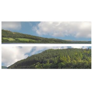 Id 201B 15 Forrest Hills 2X5'" id Backscenes